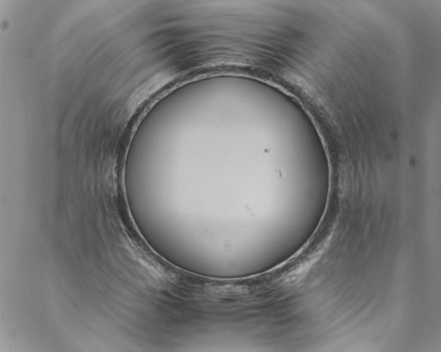 X0000088581113200706081116