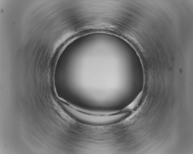 X0000088581114200706081116