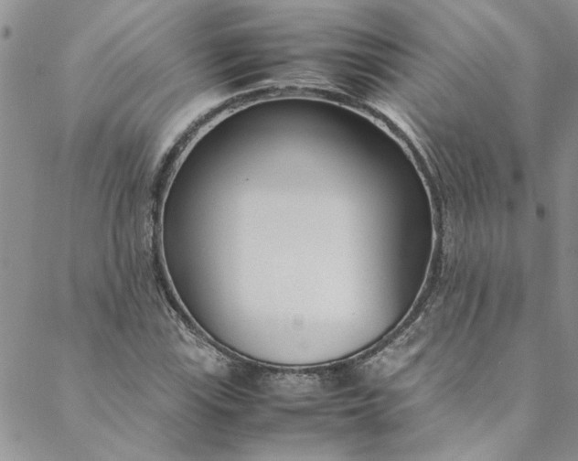 X0000088581115200706081116