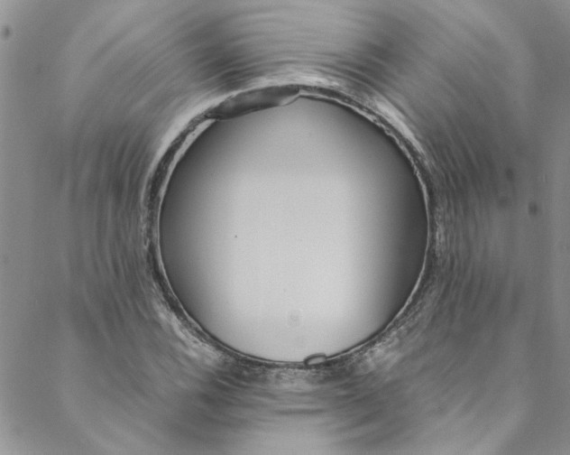 X0000088581116200706081116