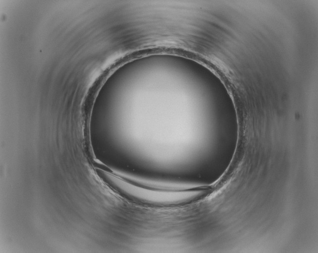 X0000088581118200706081116