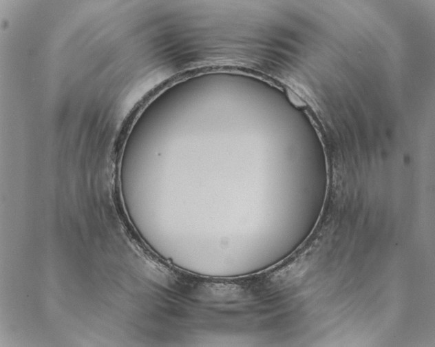 X0000088581119200706081116