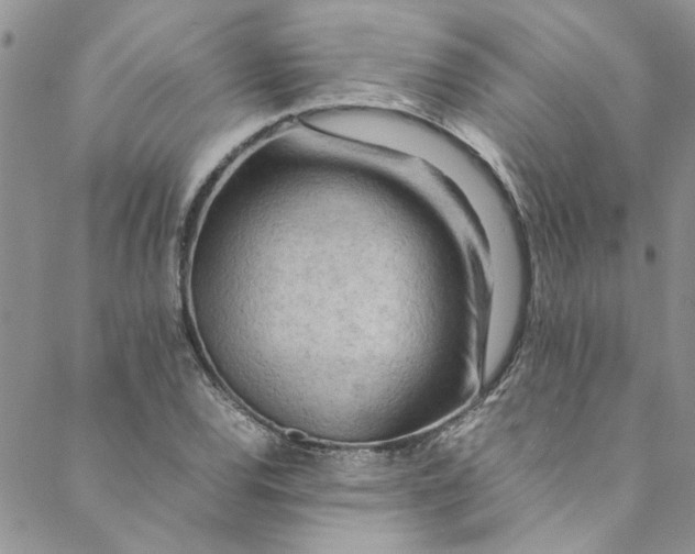 X0000088581120200706081116