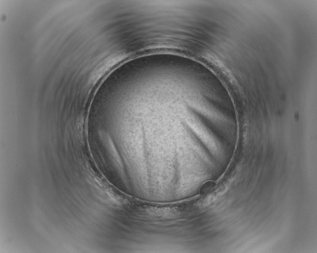 X0000088581121200706081116