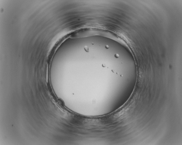 X0000088581123200706081116