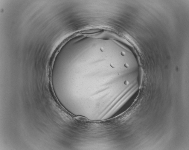 X0000088581124200706081116