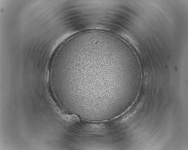 X0000088581125200706081116