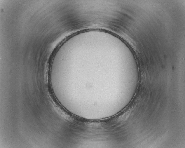 X0000088581126200706081116