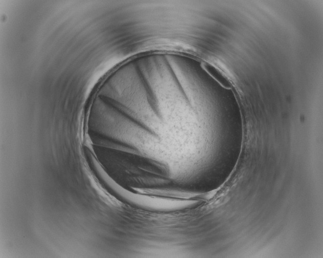 X0000088581128200706081116