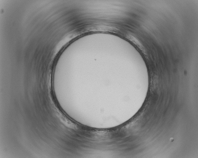 X0000088581130200706081116