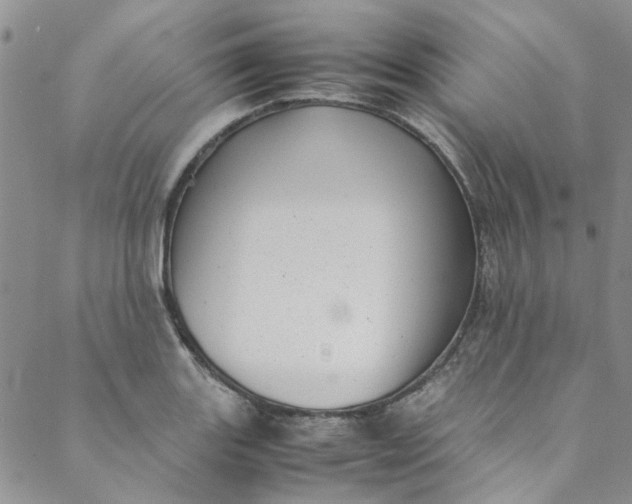 X0000088581131200706081116