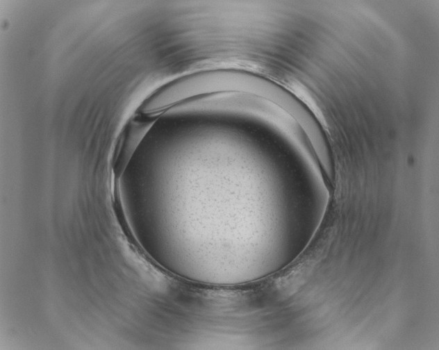 X0000088581132200706081116