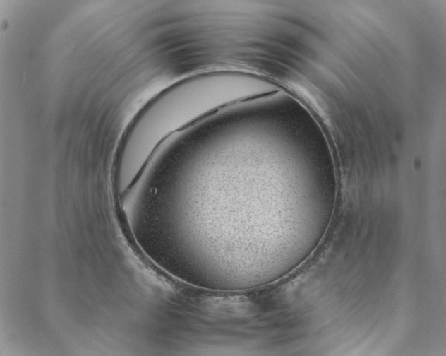 X0000088581133200706081116