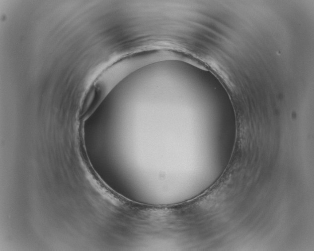 X0000088581134200706081116