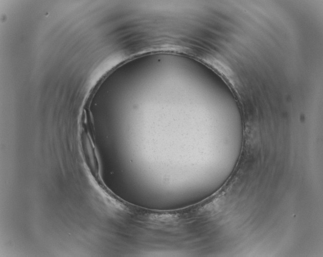 X0000088581135200706081116