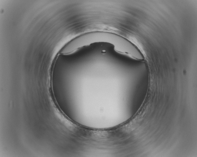 X0000088581136200706081116