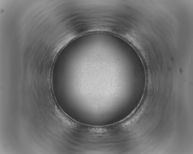 X0000088581137200706081116