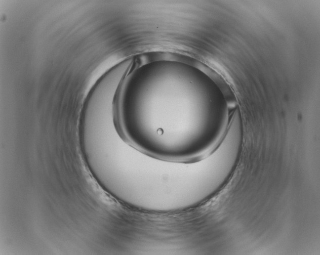 X0000088581138200706081116