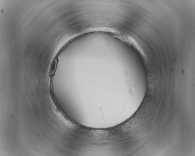 X0000088581140200706081116