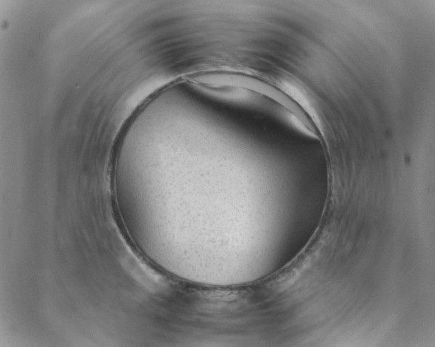 X0000088581141200706081116