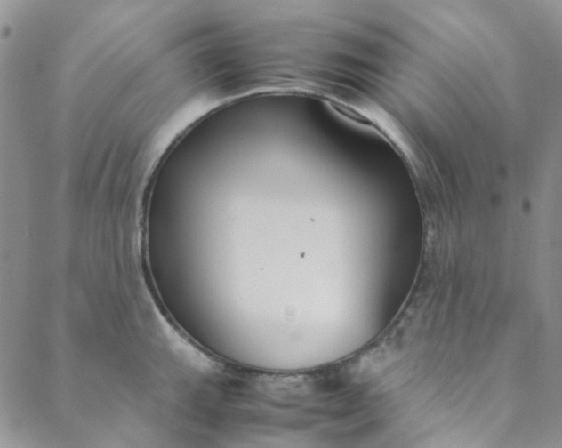 X0000088581143200706081116