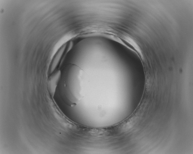 X0000088581146200706081116