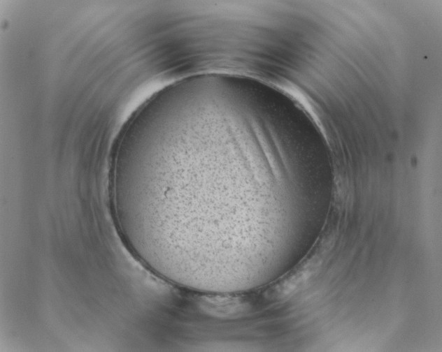 X0000088581147200706081116