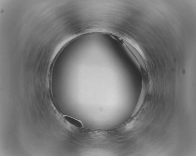 X0000088581148200706081116