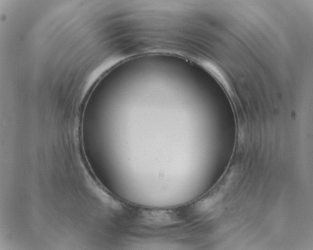 X0000088581149200706081116