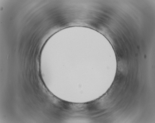 X0000088581150200706081116