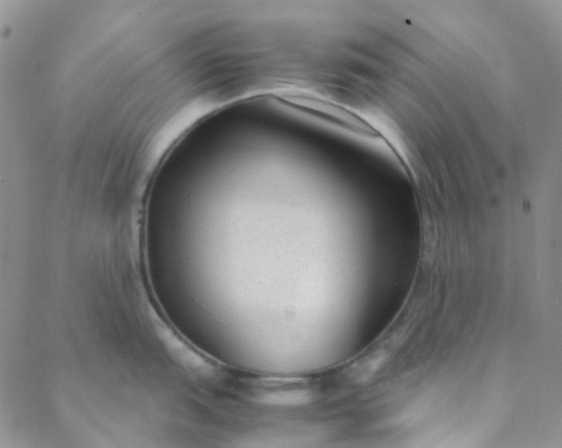 X0000088581151200706081116