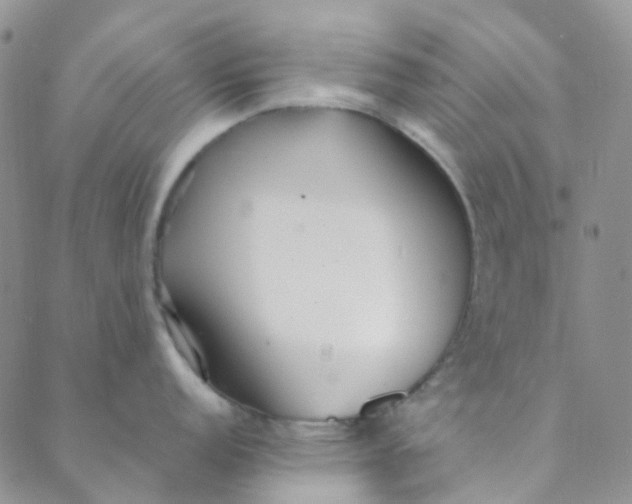 X0000088581152200706081116