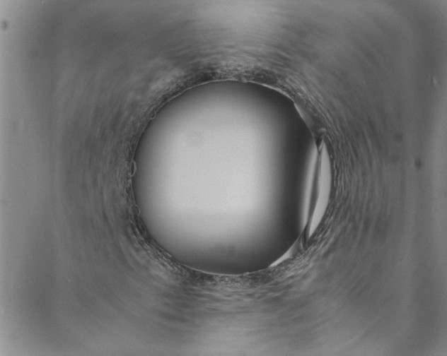 X0000088581153200706081116