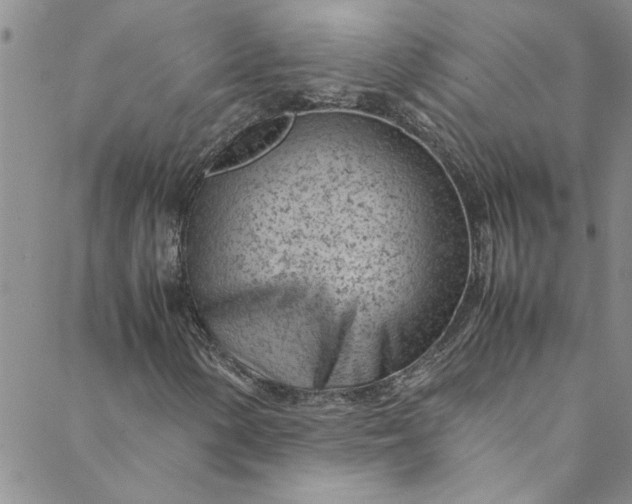 X0000088581154200706081116