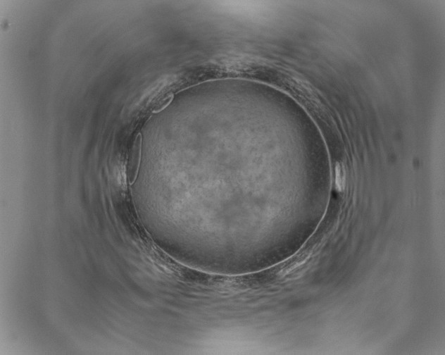 X0000088581155200706081116