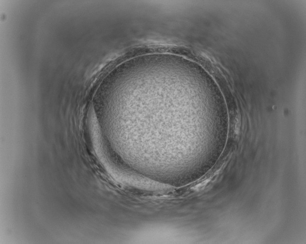 X0000088581157200706081115