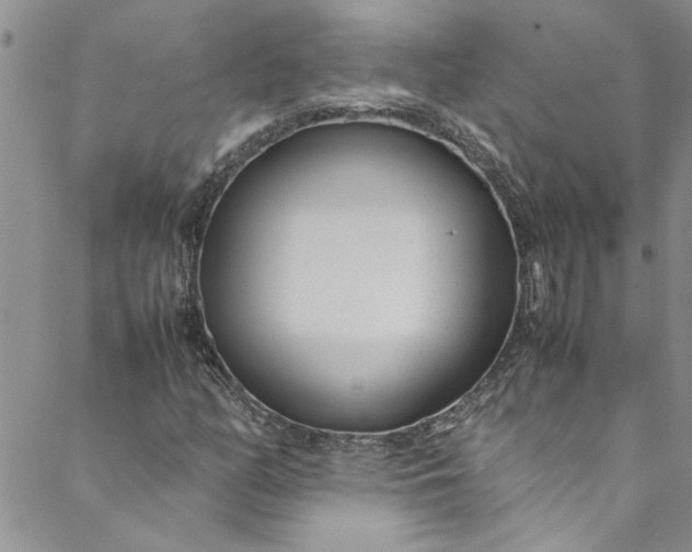 X0000088581158200706081115