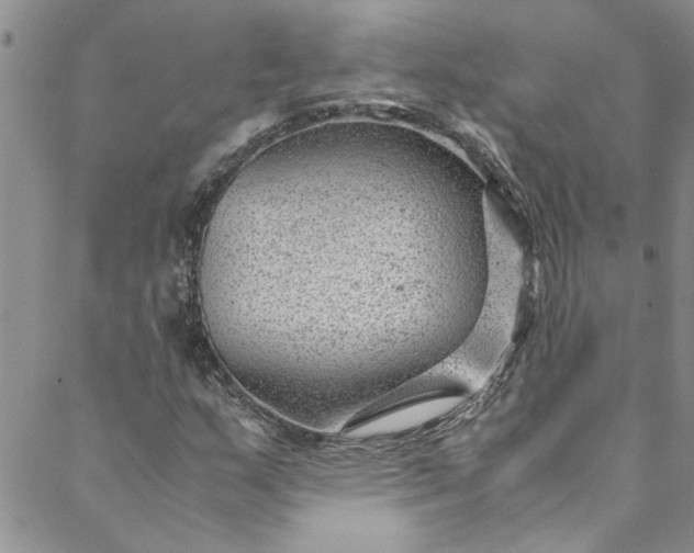 X0000088581159200706081115