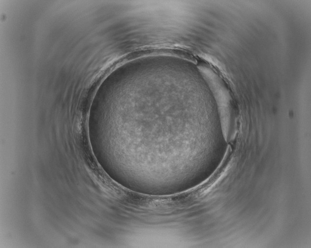 X0000088581161200706081115