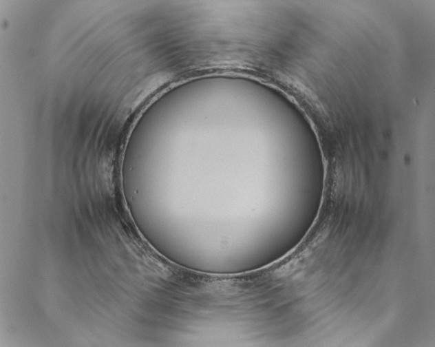 X0000088581162200706081115