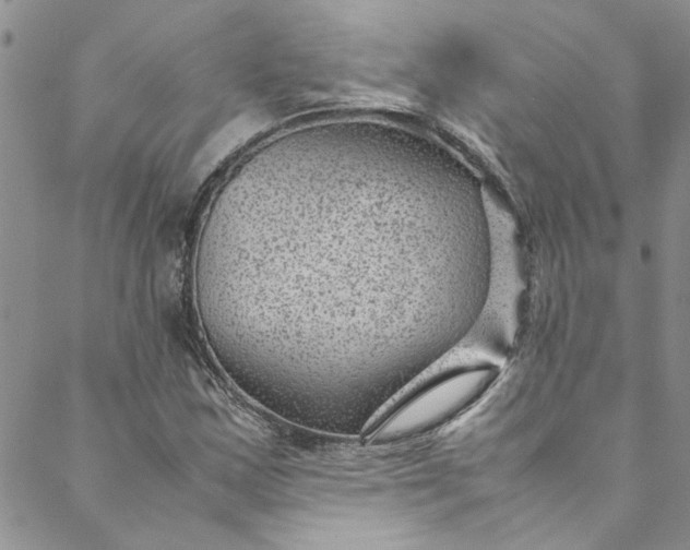 X0000088581163200706081115