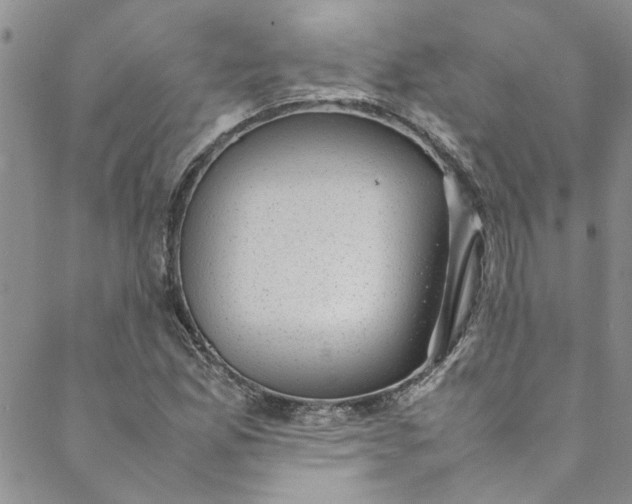 X0000088581165200706081115