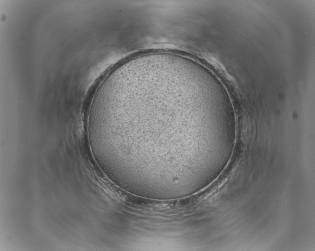 X0000088581167200706081115