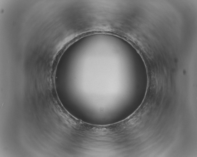 X0000088581168200706081115