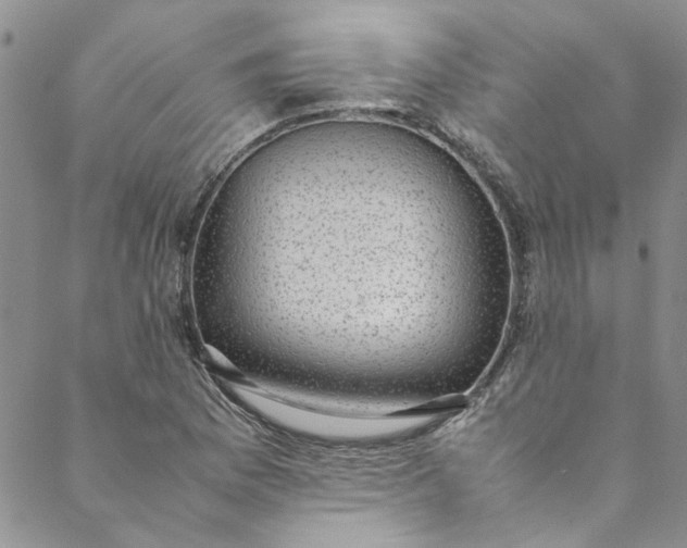 X0000088581169200706081115