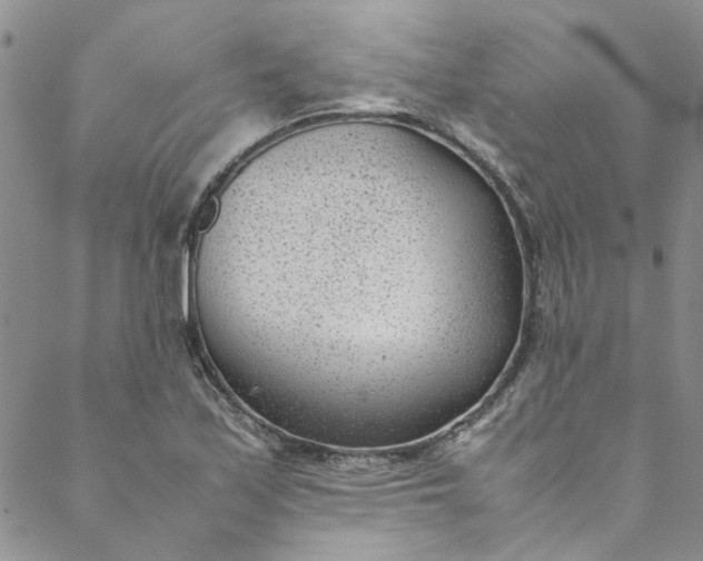 X0000088581171200706081115