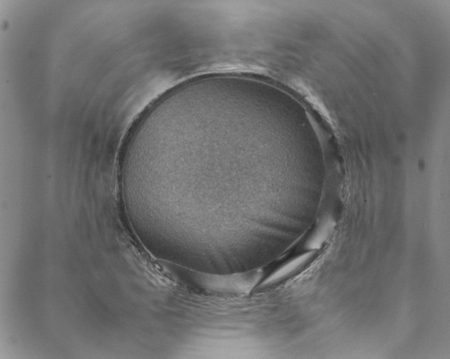 X0000088581173200706081115