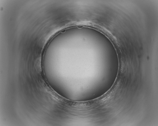 X0000088581174200706081115