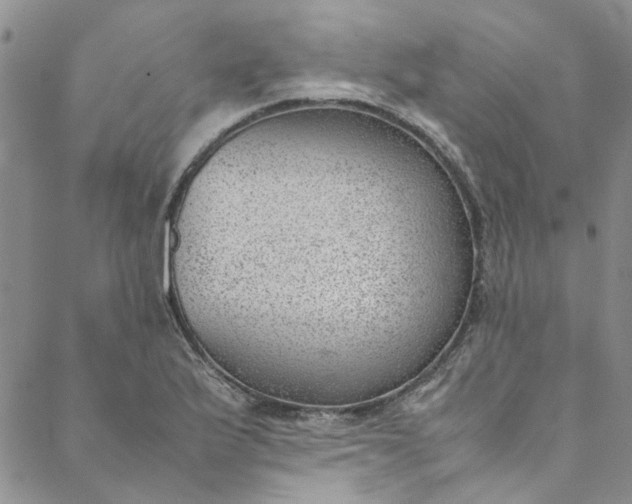 X0000088581175200706081115