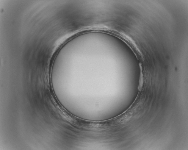 X0000088581176200706081115